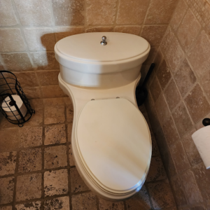 Instant Plumbing and Rooter: Your Trusted Local Plumber in Avondale for Toilet Repair and Installation