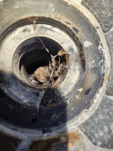 Expert Drain and Sewer Cleaning in Sun City West