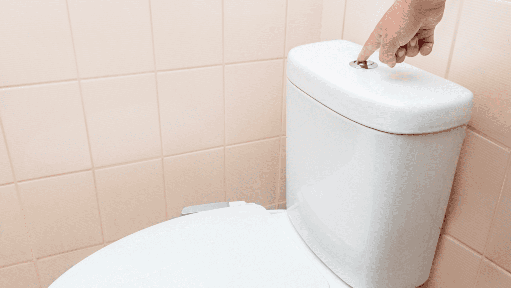 Elevate Your Bathroom Experience With Dual Flush Toilets: What You Need To Know