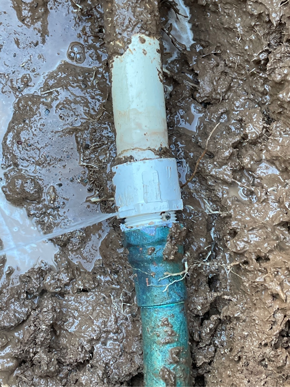 Main Water Service Replacement