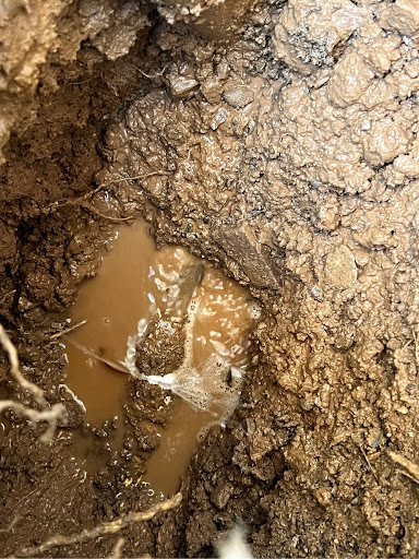 Warning Signs Of A Water Leak In Your Yard: What You Need To Know