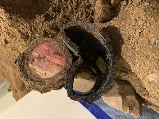 How To Remove Tree Roots From Your Sewer: A Comprehensive Guide By Instant Plumbing And Rooter