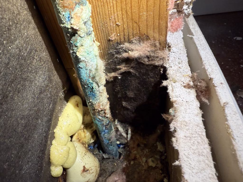 How to Fix a Leaking Pipe: Step-by-Step Solutions for Phoenix Homes